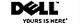 Dell business